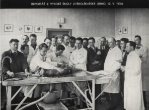 Reportáž z VŠ zvěrolékařské, Brno 12. 5. 1936