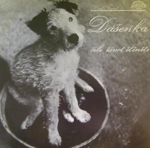 dasenka